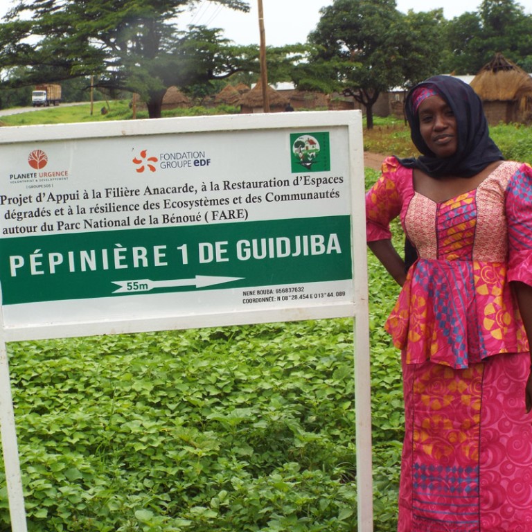 Panneau indiquant « pépiniaire 1 de Guidjiba » / Sign with "Nursery 1 of Guidjiba"